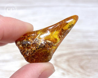 Baltic Amber #16