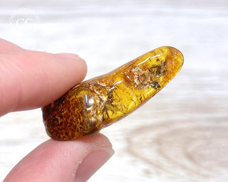 Baltic Amber #16
