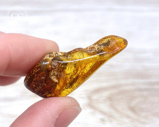 Baltic Amber #16