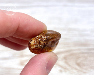Baltic Amber #16