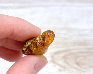 Baltic Amber #16