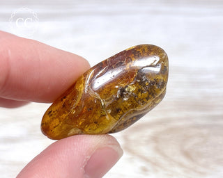 Baltic Amber #17