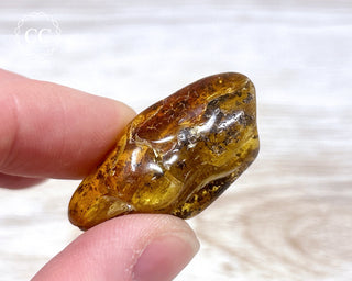 Baltic Amber #17
