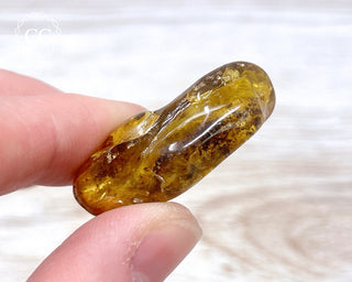 Baltic Amber #17