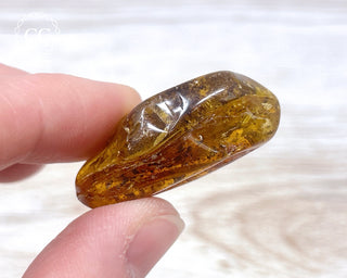 Baltic Amber #17