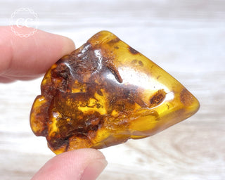 Baltic Amber #5