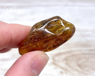 Baltic Amber #17