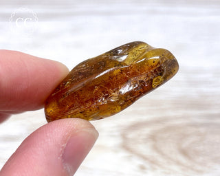Baltic Amber #17