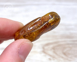 Baltic Amber #17