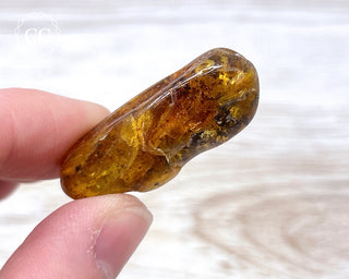 Baltic Amber #17