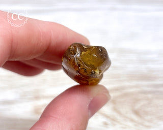 Baltic Amber #17