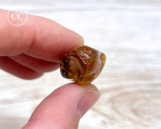 Baltic Amber #17