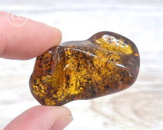 Baltic Amber #18