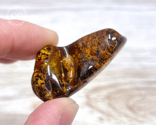 Baltic Amber #18