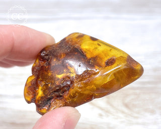 Baltic Amber #5