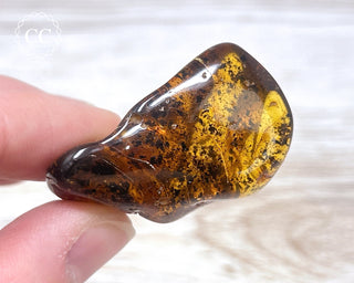 Baltic Amber #18