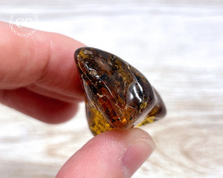 Baltic Amber #18