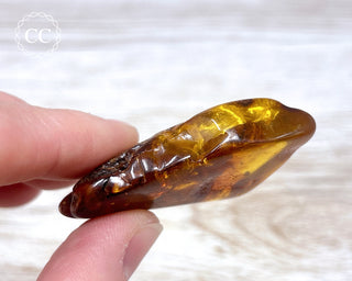 Baltic Amber #5