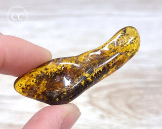 Baltic Amber #19