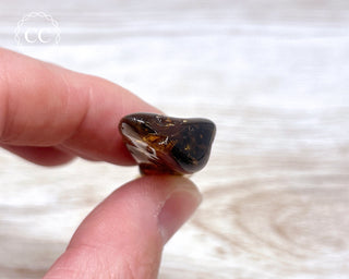 Baltic Amber #19