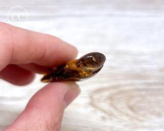 Baltic Amber #19