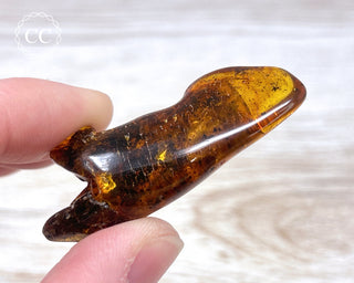 Baltic Amber #20
