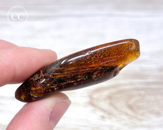 Baltic Amber #20