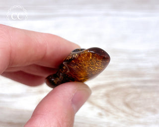 Baltic Amber #20