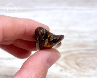 Baltic Amber #20