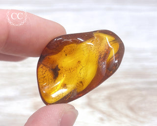 Baltic Amber #21