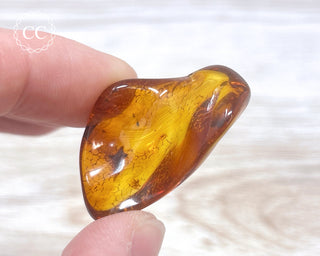 Baltic Amber #21