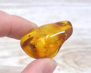 Baltic Amber #21