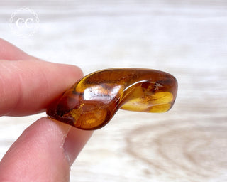 Baltic Amber #21