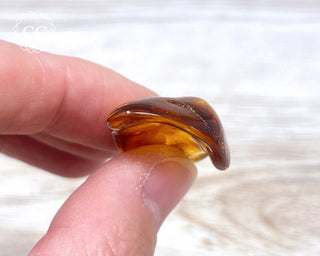 Baltic Amber #21