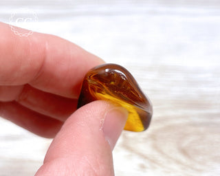 Baltic Amber #21