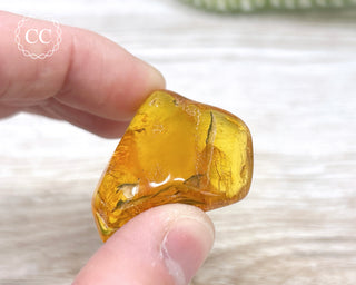 Baltic Amber #2
