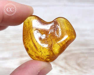 Baltic Amber #22