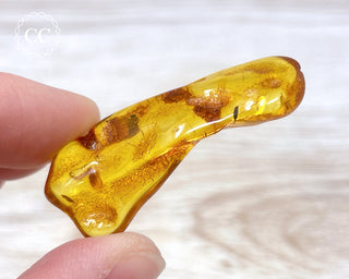 Baltic Amber #23