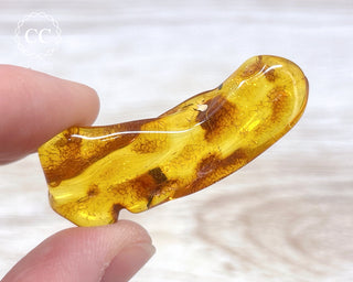 Baltic Amber #23
