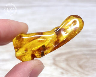 Baltic Amber #23