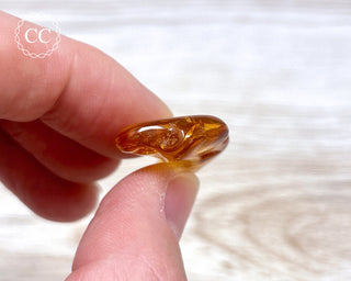 Baltic Amber #23