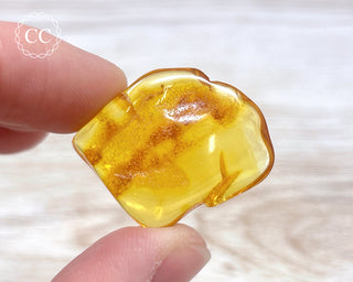 Baltic Amber #24