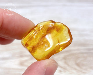 Baltic Amber #24