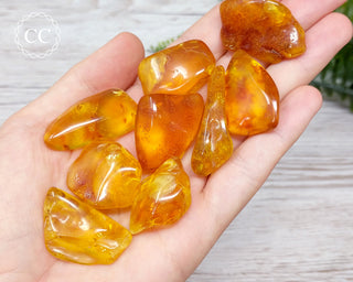Baltic Amber Tumbled Crystal