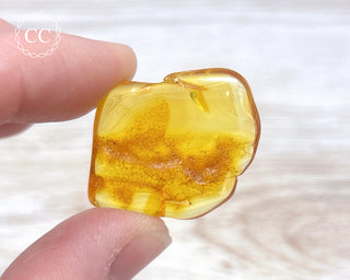 Baltic Amber #24