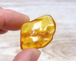 Baltic Amber #24