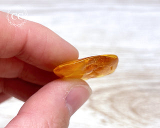 Baltic Amber #24