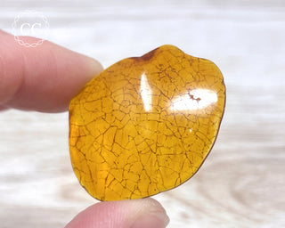 Baltic Amber #25