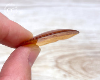 Baltic Amber #25