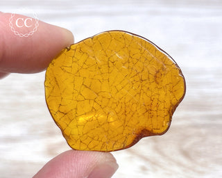 Baltic Amber #25